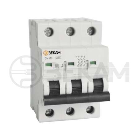 Automático Trifásico 3x25A - Bekam